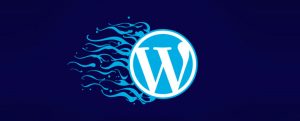 En İyi ve En Önemli WordPress Eklentileri