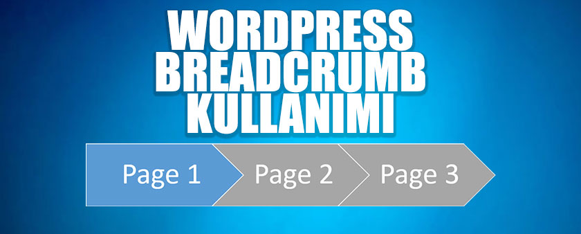 wordpress-breadcrumb-schema