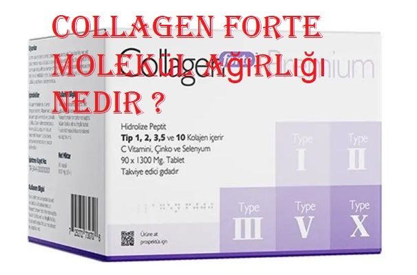 Collagen forte molekül ağırlığı
