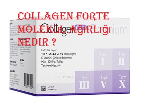 Collagen forte molekül ağırlığı