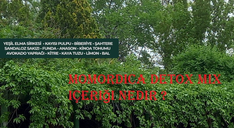 Momordica Detox Mix içeriği nedir