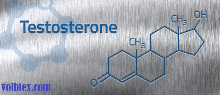 testosteron