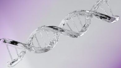 genetik