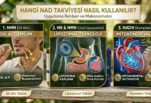 Hangi nad takviyesi nasıl kullanılır