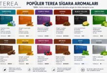Popüler terea sigara aromaları