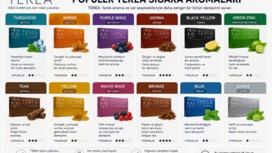 Popüler terea sigara aromaları