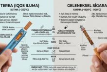 terea sigara normal sigara farkı