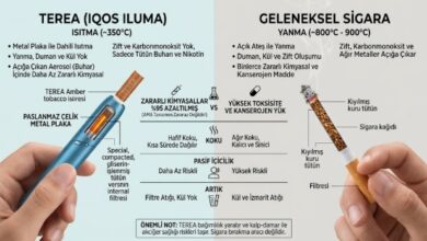 terea sigara normal sigara farkı