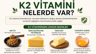 K2 vitamini nelerde var